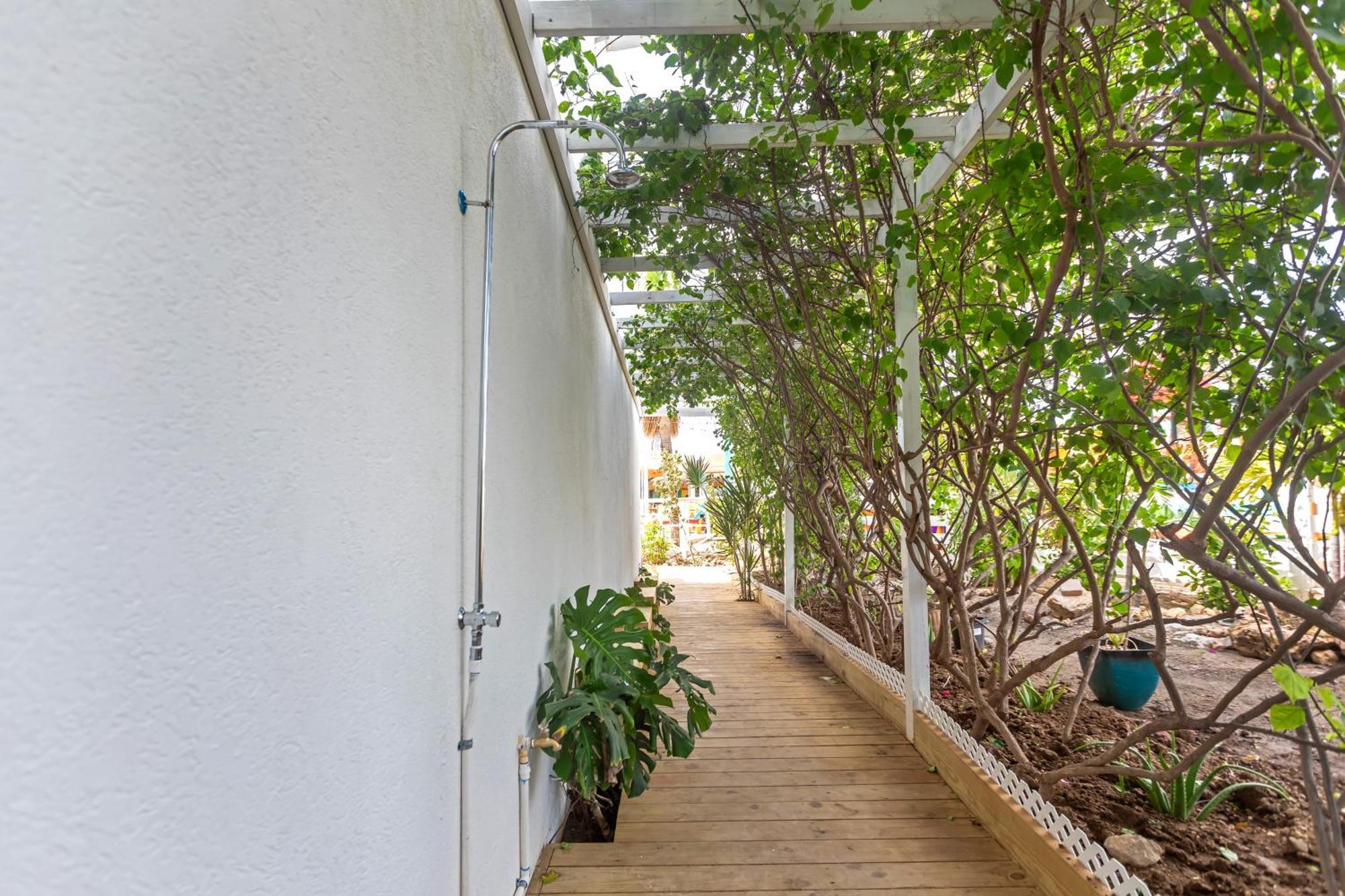 Maho Beach House - Studio - Beach Access Eksteriør bilde