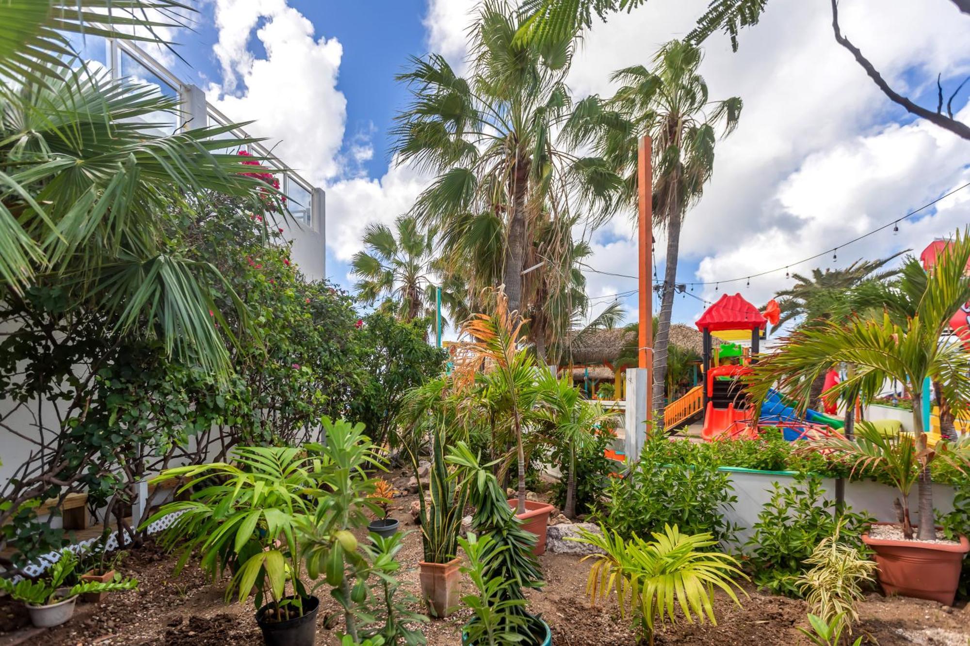 Maho Beach House - Studio - Beach Access Eksteriør bilde